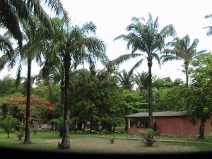 Palmiers du Centre Nganda, cadre de l'atelier